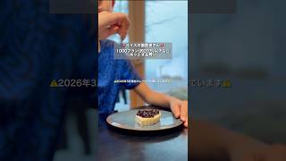 🇨🇭スイスの歯医者さん事情🇨🇭#スイス #海外生活 #国際結婚 #海外のエピソード