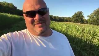 Making Sorghum Baleage #1 (Cutting)!!!!! Making Sorghum Baleage #1 (Cutting)!!!!!