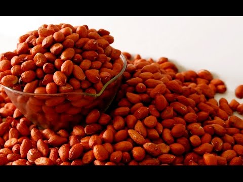 ICAR-Directorate of Groundnut Research