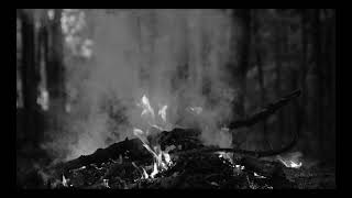 Blind Walnut - Stuck Between (Riverside Acoustic Cover)