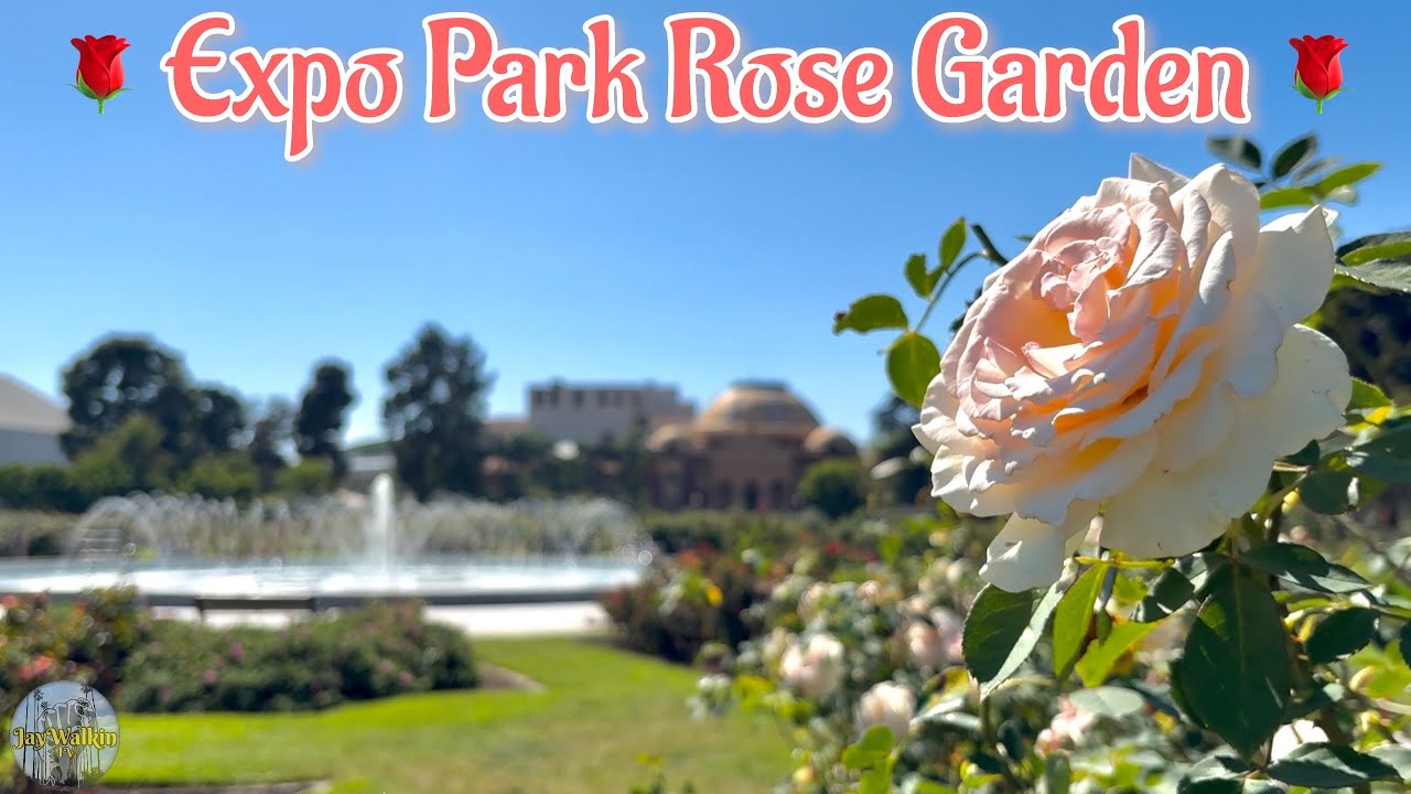🥀Rose Garden, Spring 26’ 🌺| Los Angeles, California [4K]🇺🇸 