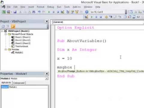 3. Introduction to Programming with VBA - Introduction To Variables