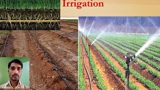 #Irrigation part 1|#Crop Science BI-FOCAL Standard 11 Online lectures|#irrigation scheduling