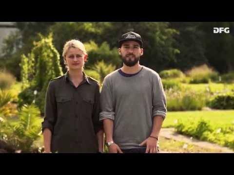 KlimaTaucher - Fernreisen mit gutem Gewissen? Wie wir das Klima beeinflussen können