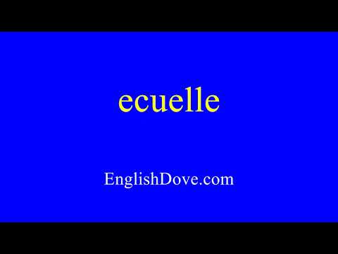 How to pronounce ecuelle in American English