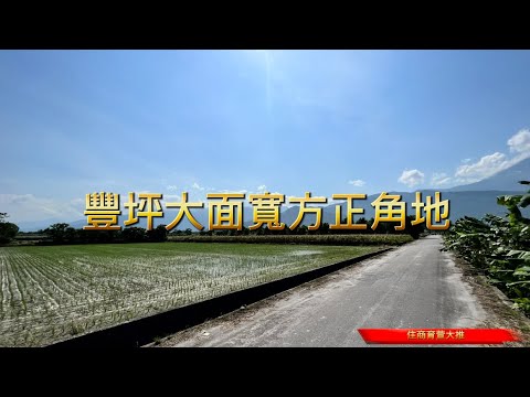壽豐鄉-大坪段15巷農地出售 第1張共16張