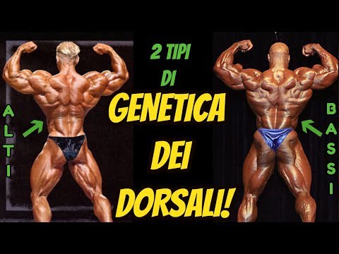 Osteocondrosi prevenzione della droga Crema sano per osteocondrosi