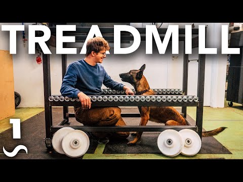 YouTube video about: How to make a dog treadmill?