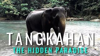 preview picture of video 'TANGKAHAN - THE HIDDEN PARADISE @GUNUNG LEUSER NATIONAL PARK'