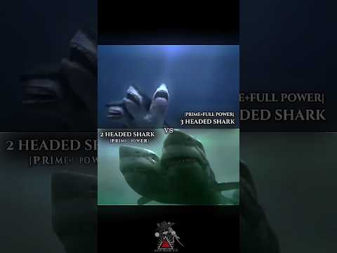2 headed shark vs 3 headed shark #SYFY #TheAsylum #whoisstronger #debate #whowins #vs #versusbattle