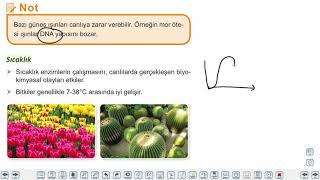 Eğitim Vadisi TYT Biyoloji 13.Föy Ekosistem Ekolojisi Konu Anlatım Videoları