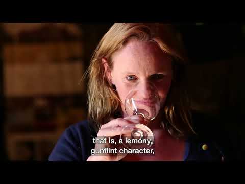 Muscadet - Vignobles Véronique Günther-Chéreau (VGC)