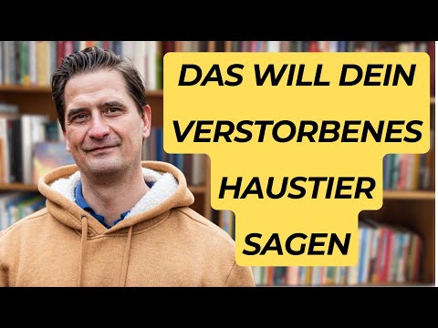 5 kraftvolle BOTSCHAFTEN von Haustieren NACH ihrem Tod