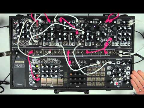 Make Noise Shared System: Black and Gold, Plus