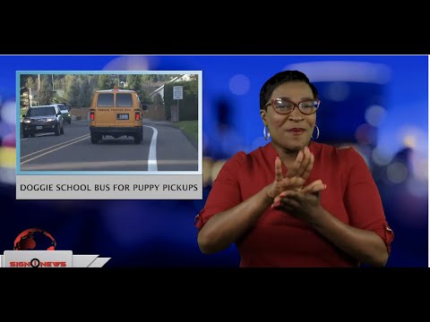 Doggie school bus for puppy pickups (ASL - 4.27.19)