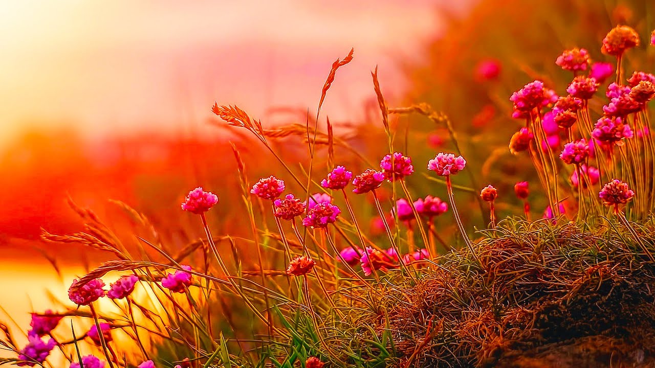 C.S. Lewis: Don’t Lose Hope - GOD Will SURPRISE You