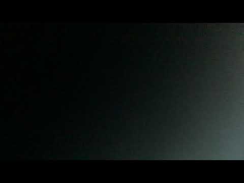 Go Diego Go - Find a Friend For Loui