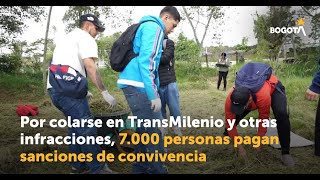 Por colarse en TransMilenio y otras infracciones, 7.000 personas pagan sanciones de convivencia