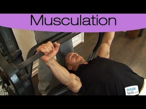 comment augmenter pectoraux