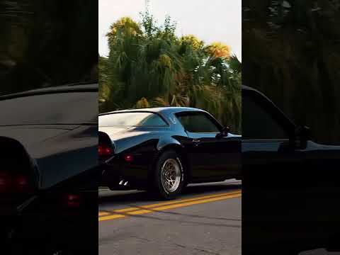 1978 Pontiac Firebird Trans Am (CC-1748653) for sale in Jacksonville, Florida