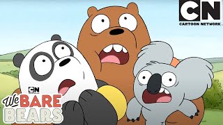 Nom Nom the Koala - We Bare Bears | Cartoon Network | Cartoons for Kids