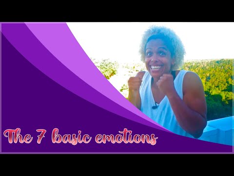 The 7 basic emotions