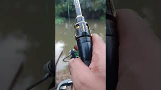 Download lagu gila babon angkrem #fishing #mancingmantap #mancing #mancingmania #mancingceria #automobil mp3