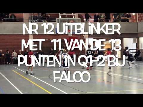 Tigers Evergem - BBC Falco