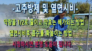 고추방제 와 엽면시비 약량을 1/2로 줄이고, 약효과는 배로 높이는 방법