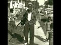 Sam Lightnin' Hopkins - Cotton