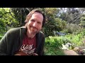 ALO's Zach Gill performs live from his garden | 2020 Santa Barbara Earth Day | #CECSB