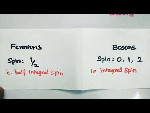 BV PHYSICS FERMIONS AND BOSONS