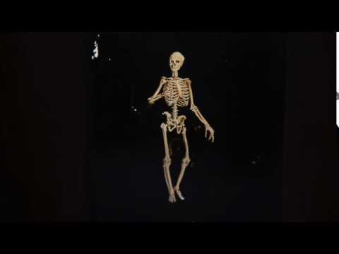 Magic Lantern Slides