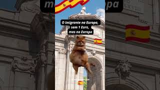 Pobre, porém europeu