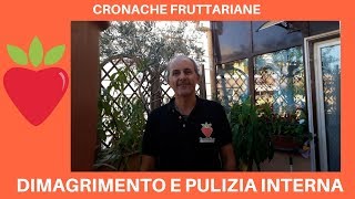 Anteprima video YouTube