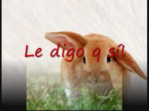 PERDER PARA AMAR Grupo Niche Letra