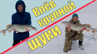 Зимней рыбалка в харьковской области