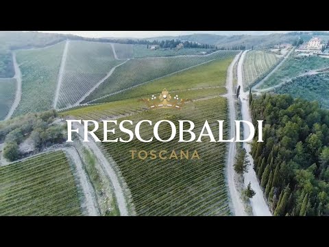 IVG Stories - Frescobaldi winery