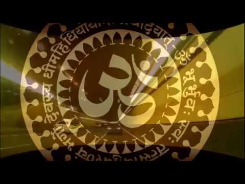 ANGRYTONE MayaDosage193bpm