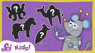Can You Guess the Animal? | SciShow Kids Compilation