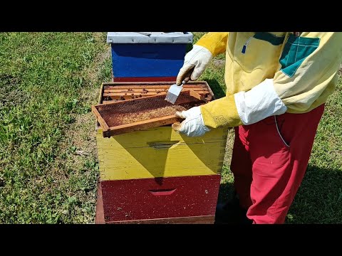 A ja sam mislio da to svi već znaju 07.05.2023