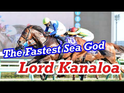 Lord Kanaloa（ロードカナロア） , introduce the great horse of Japan