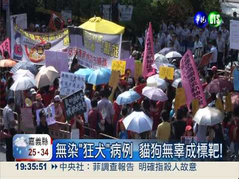 雲林防疫抓狗送米 動保團體抗議!