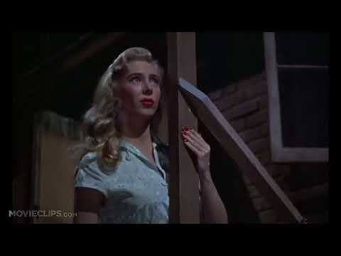 Rear Window Trailer