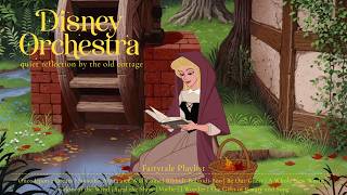 Once Upon a Dream in the Cottage | Cozy Disney Orchestral Playlist for Reading and Focus 🍂