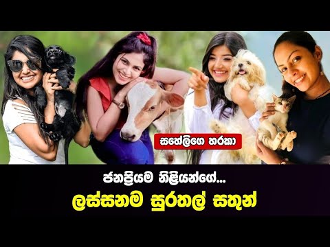 Pets of the most popular actresses in Sri Lanka