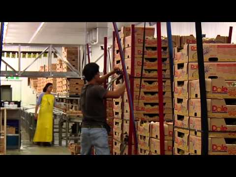 DOLE - Packing Pineapples