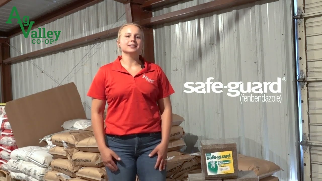 Eliminate Parasites with Safe-Guard