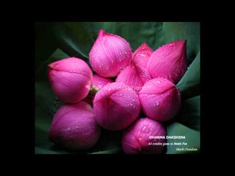 Dharma Dakshina Neth Fm 2013/09/19