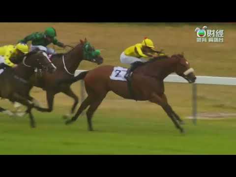 2023 Pongracz Cape Flying Championship G1- Gimme A Prince (完美王子) - K.de.Melo